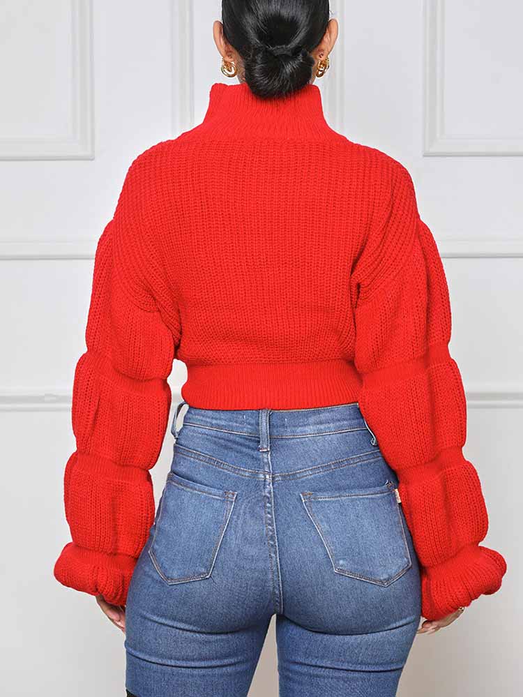 Turtleneck Puffy Sleeve Sweater